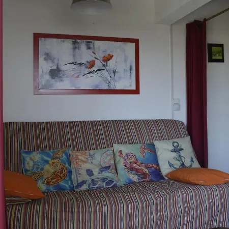 Studio Cap D'agde, 1 Piece, 6 Personnes - Fr-1-249-271